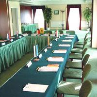 Hotel Danubius Raba
